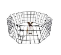 Wie wählt man die richtige Käfiggröße und -funktion für verschiedene Haustiere aus?