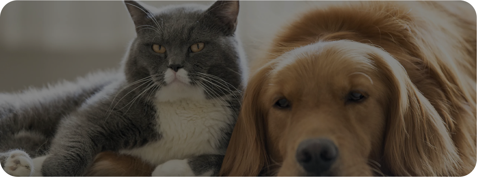 Pet Home (Haian) Co., Ltd.